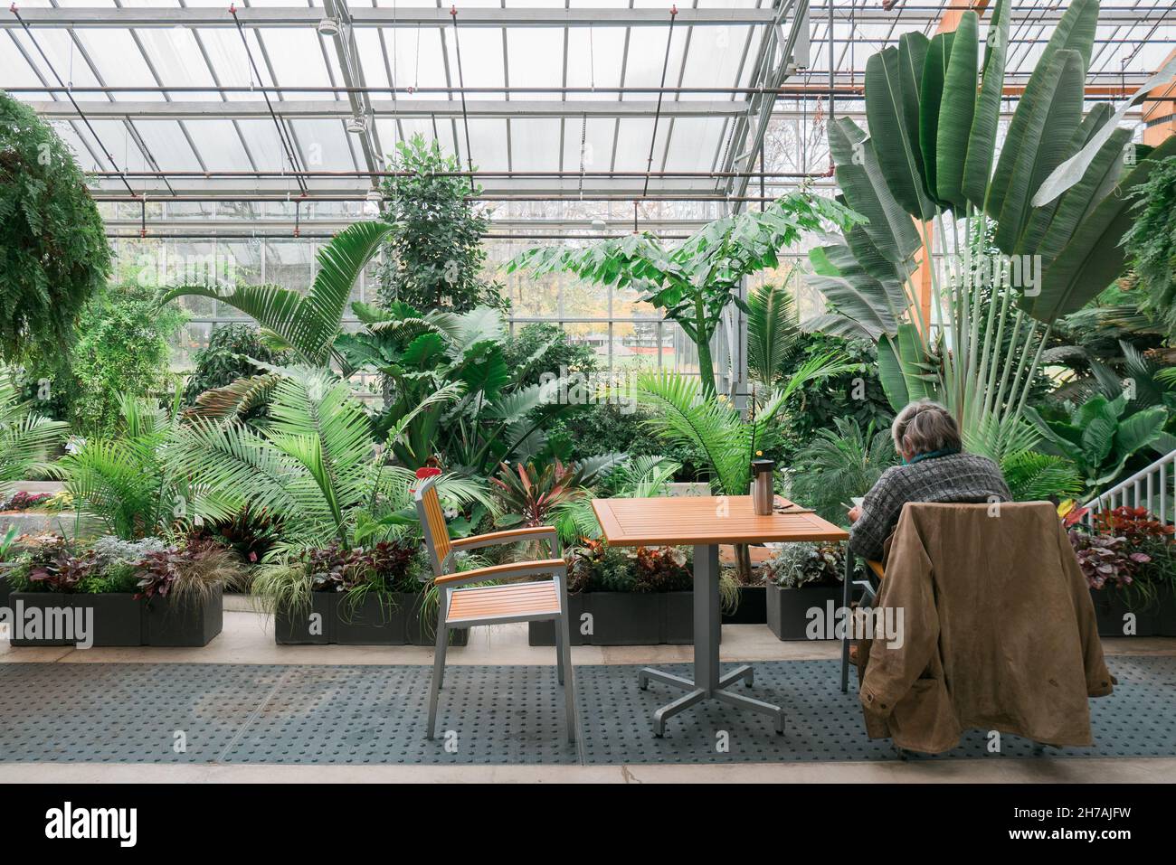 senior sitting on a chair inside a greenhouse, relaxing, reading orwriting Stock Photo