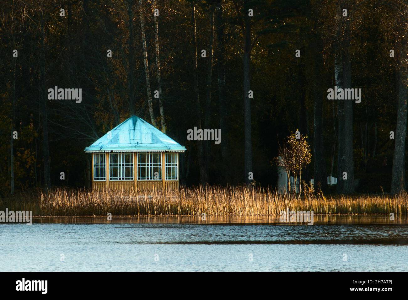 A small house in the forest near a lake Stock Photo - Alamy