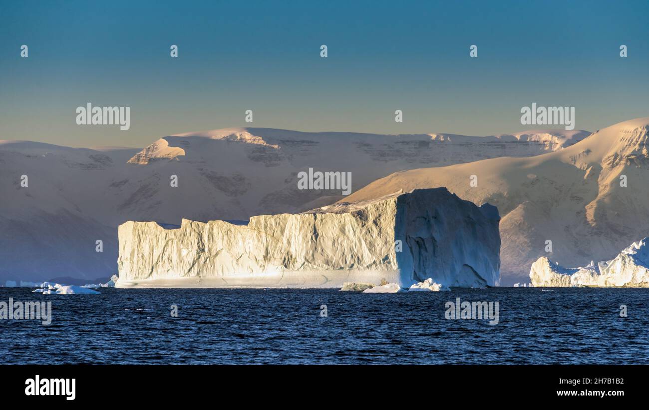 Icebergs and icefields early morning, Rodefjord, Scoresby Sund, East Greenland. Stock Photo