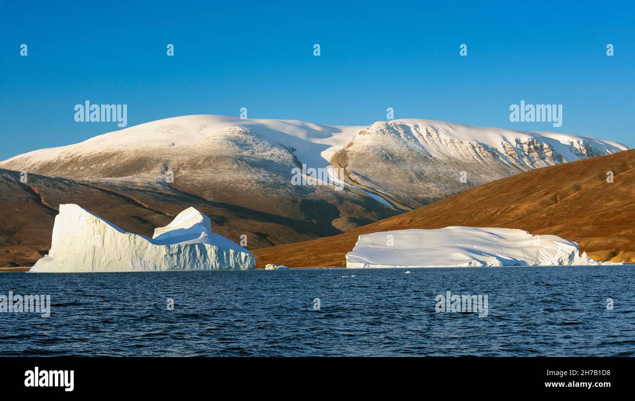 Icebergs, icefields and oxidized iron-rich red sedementary rocks in Rodefjord, Scoresby Sund, East Greenland Stock Photo