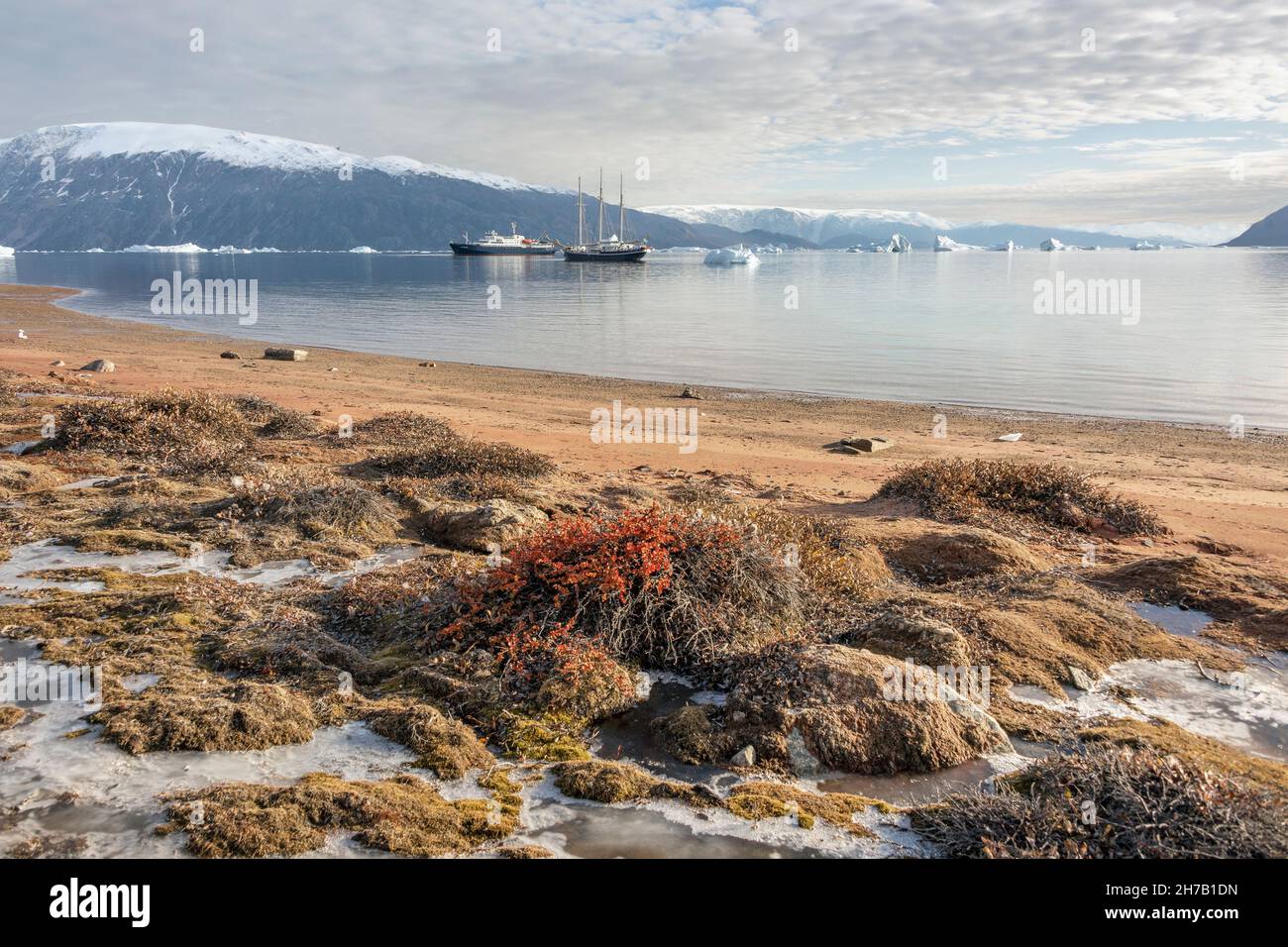 MV Rembrandt van RIjn and MV Plancius off the beach with fall vegetation, Cape Hofmann Halvo, Harefjord, Greenland Stock Photo