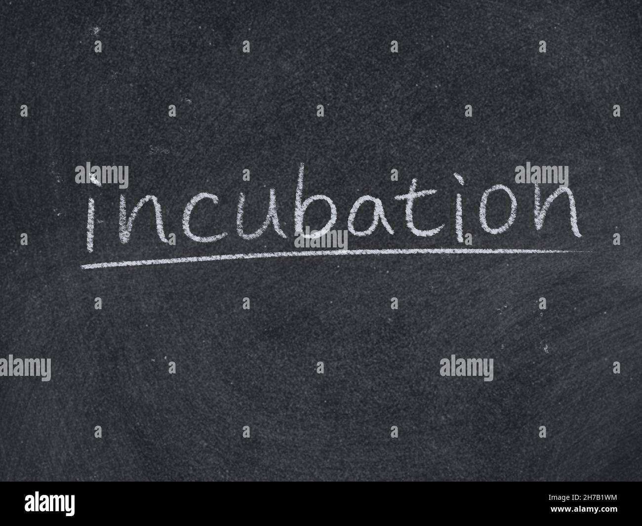 incubation concept word on blackboard background Stock Photo