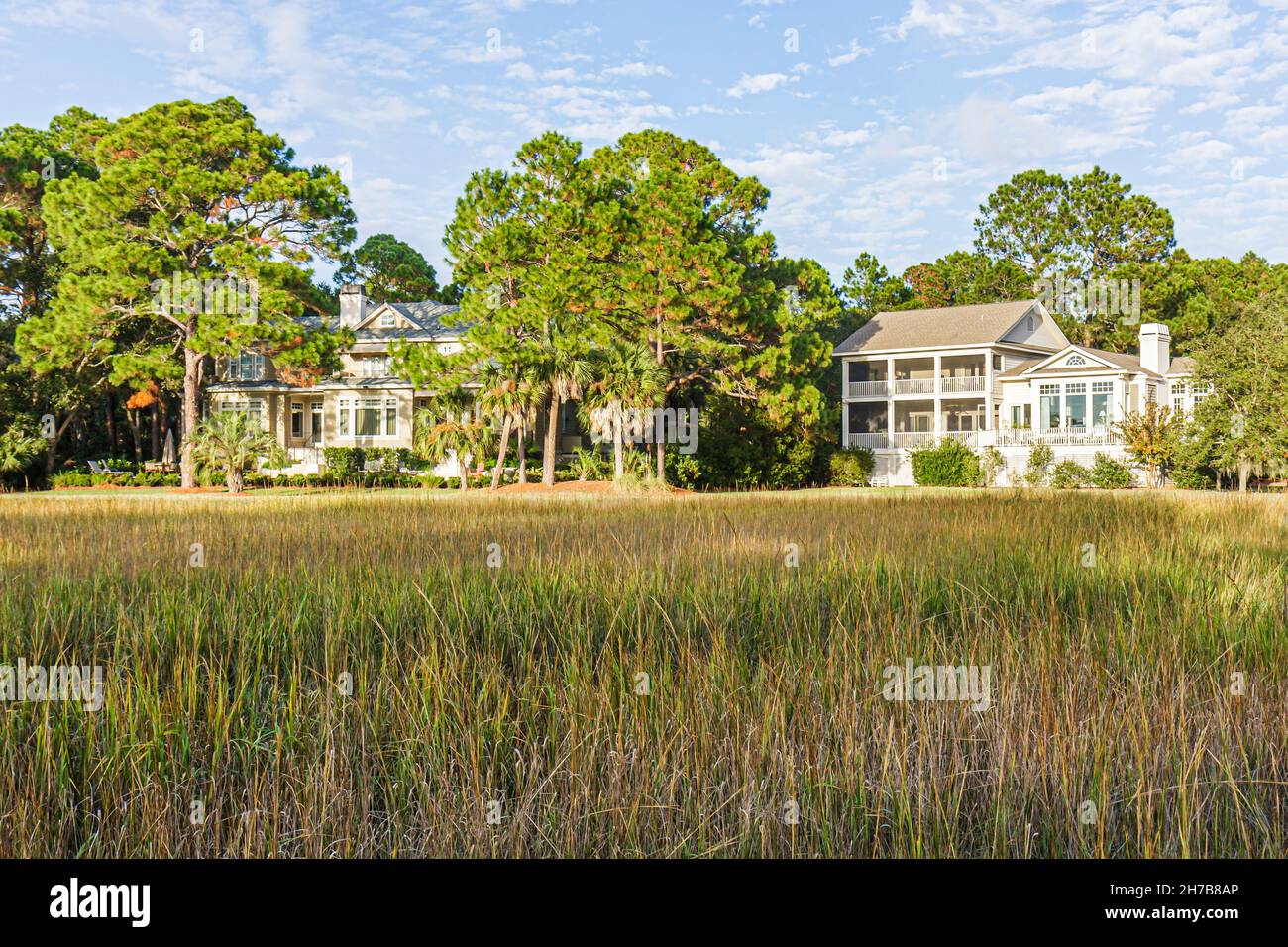 Hilton head island sea pines forest hires stock photography and images