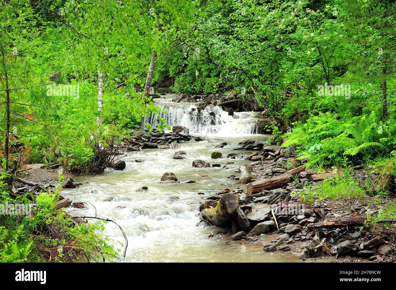 A cascade of waterfalls in the bed of a small mountain river flowing ...