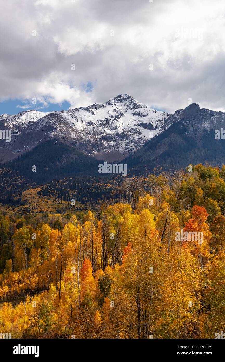Aspen and snow capped Hayden Peak in autumn, Last Dollar Road, Uncompahgre National Forest, San Juan Mountains, Colorado Stock Photo