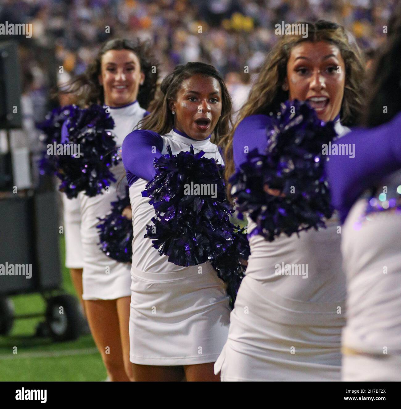 Lsu tiger girls dance team hi-res stock photography and images - Alamy