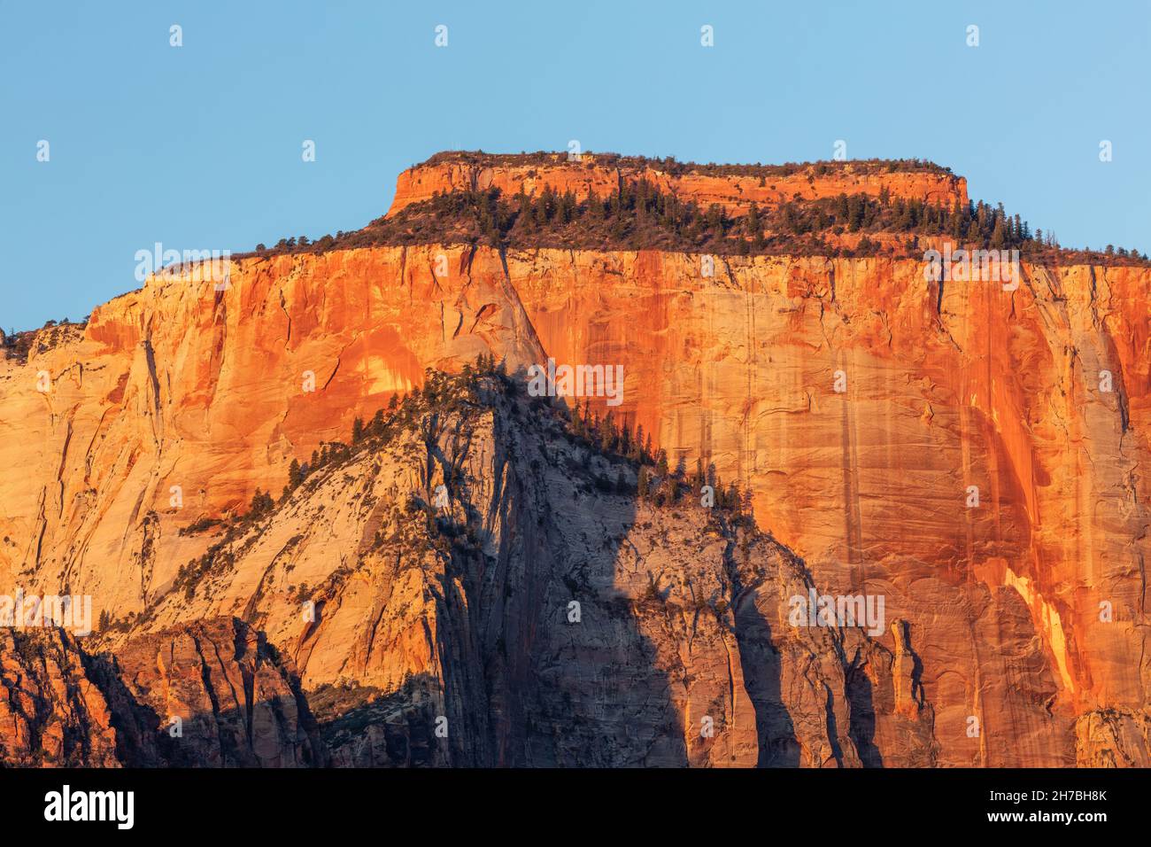 Morning light on the West Temple, Zion National Park, Utah Stock Photo