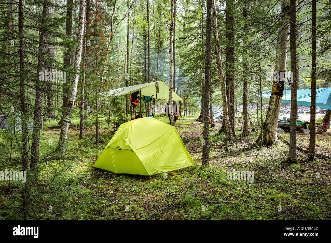 Bright green camping tent in the forest. Eco travel, camping, hiking, tourism concept Stock