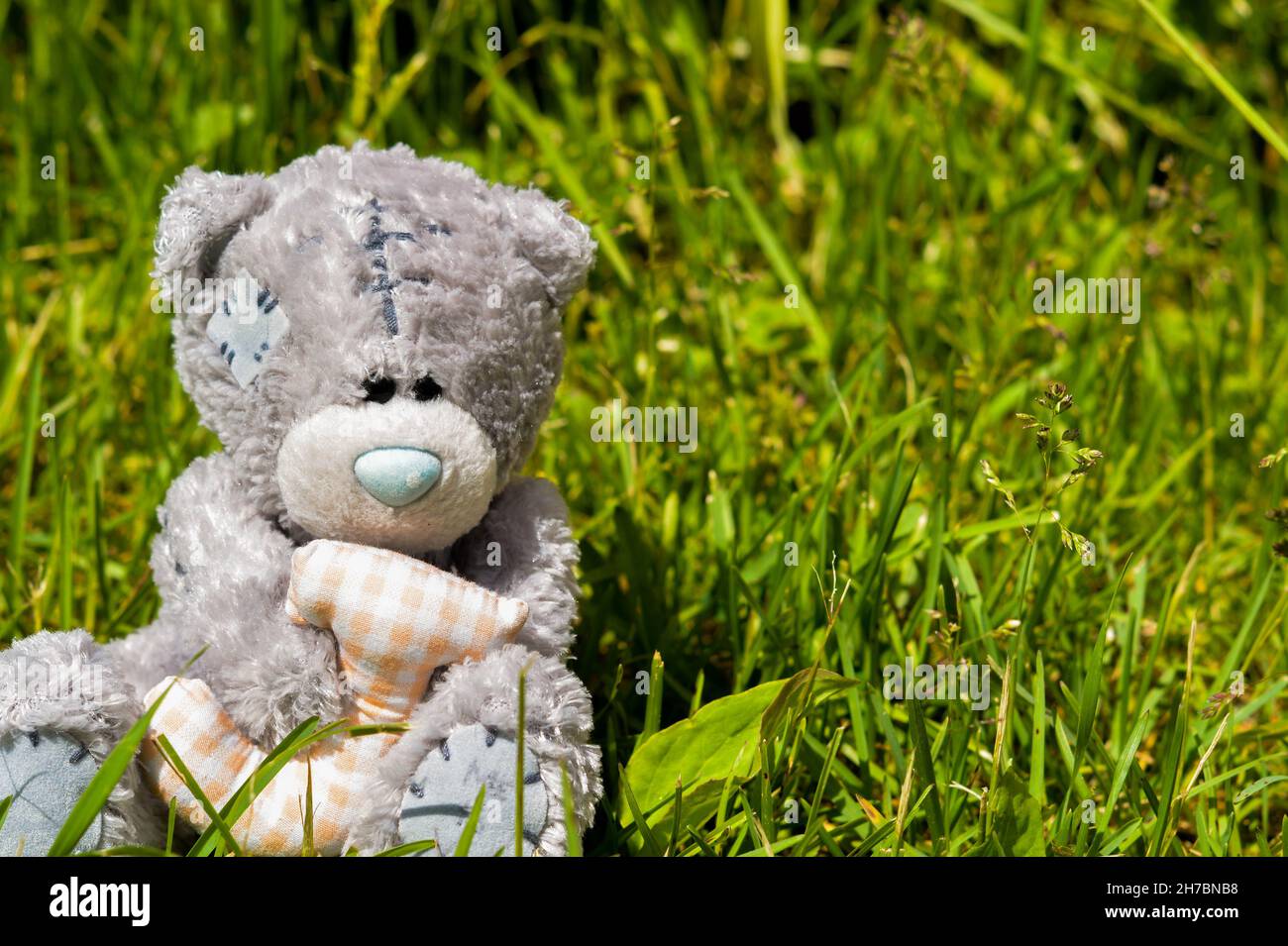 Teddy bear toy sitting on a green grass Stock Photo - Alamy