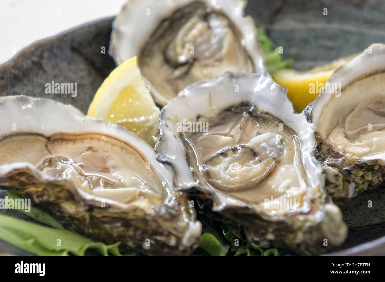 Open oysters with copy space Stock Photo