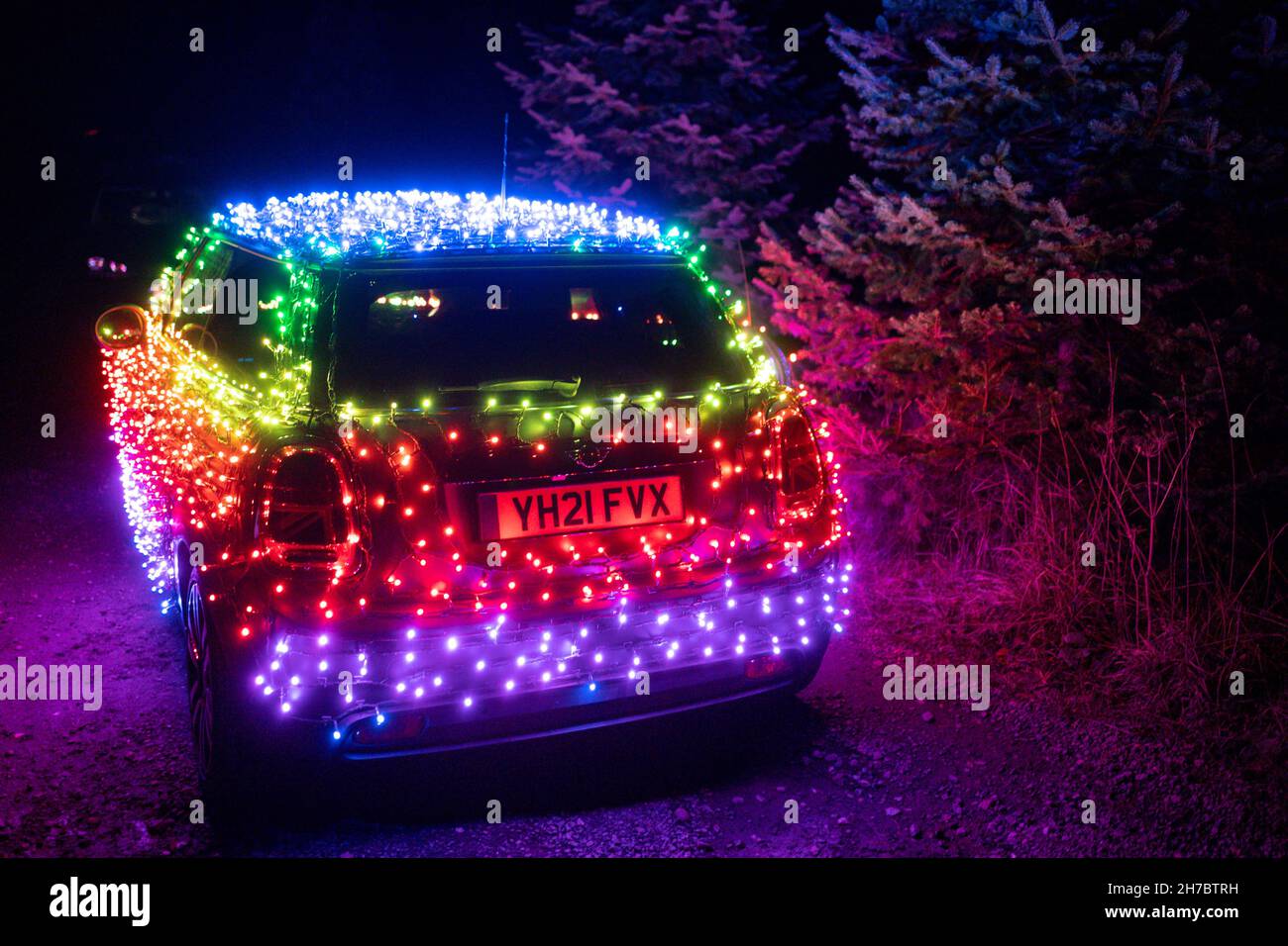 A Mini Electric wrapped in thousands of Christmas fairy lights, at Greenfield Farm in Christmas