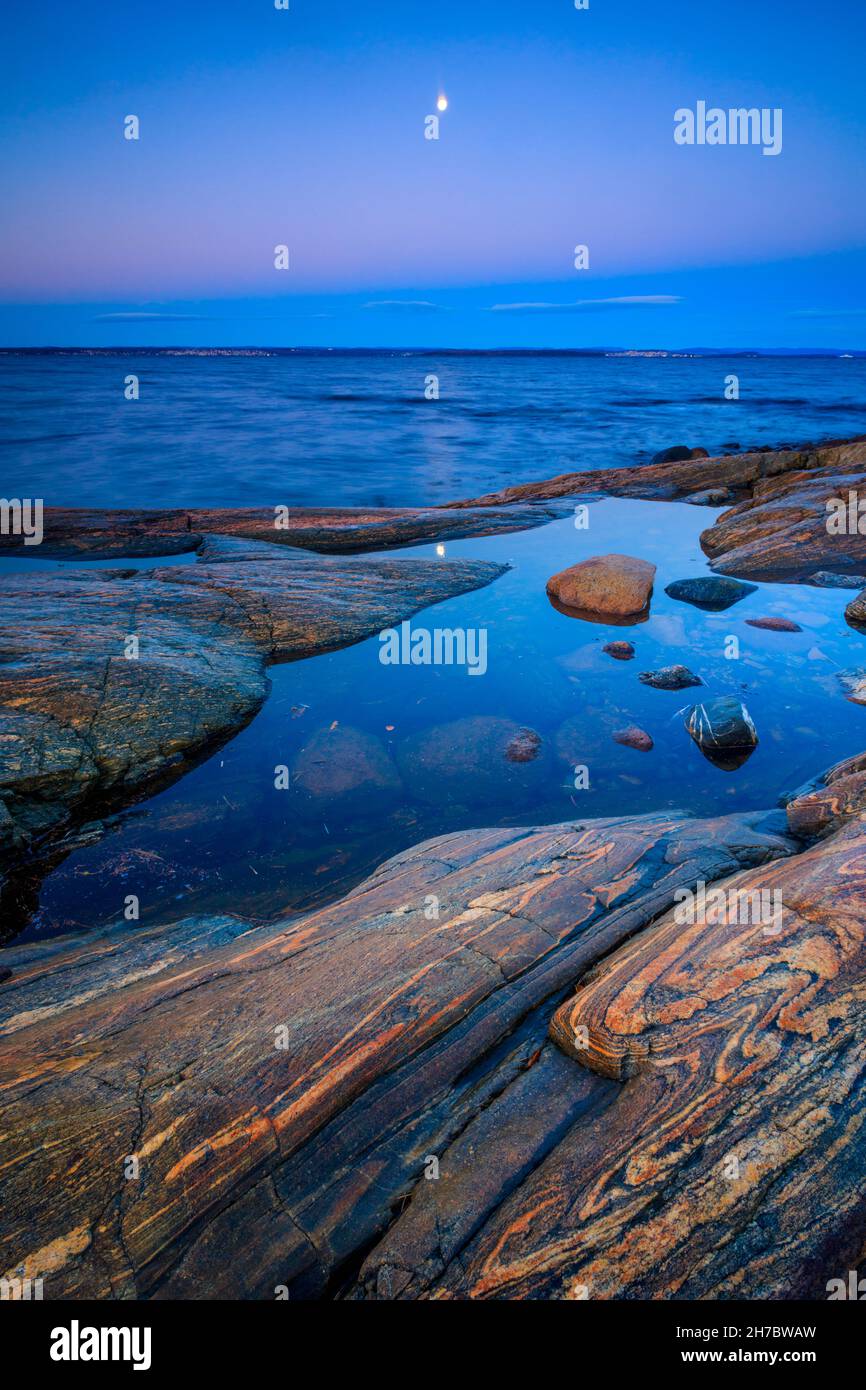 Moon and twilight on a November morning at the rocky coastline by the Oslofjord, at Larkollen, Østfold, Norway, Scandinavia. Stock Photo
