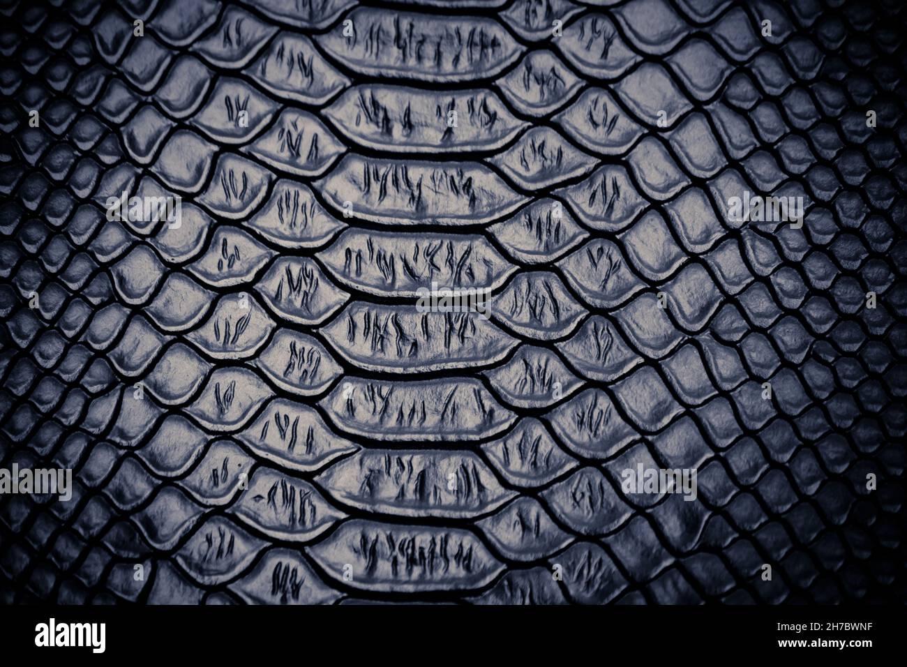 close up of snake skin texture use for background Stock Photo - Alamy