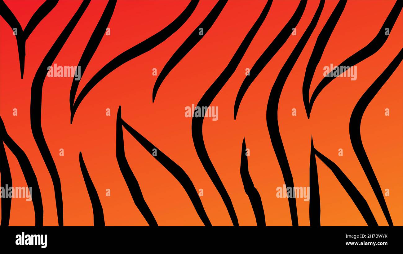 Vector seamless pattern of black tiger stripes isolated on orange ...