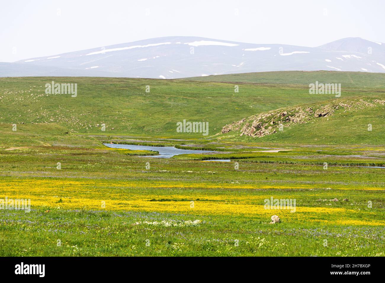 A high-altitude plateau with lush grass and a lake or swamp. The concept of biotope and ecology Stock Photo