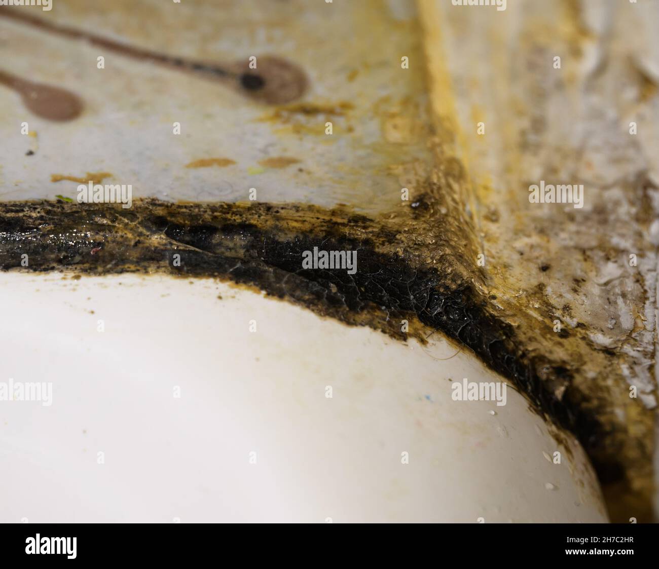 Fungus and mold in the bathroom Stock Photo Alamy