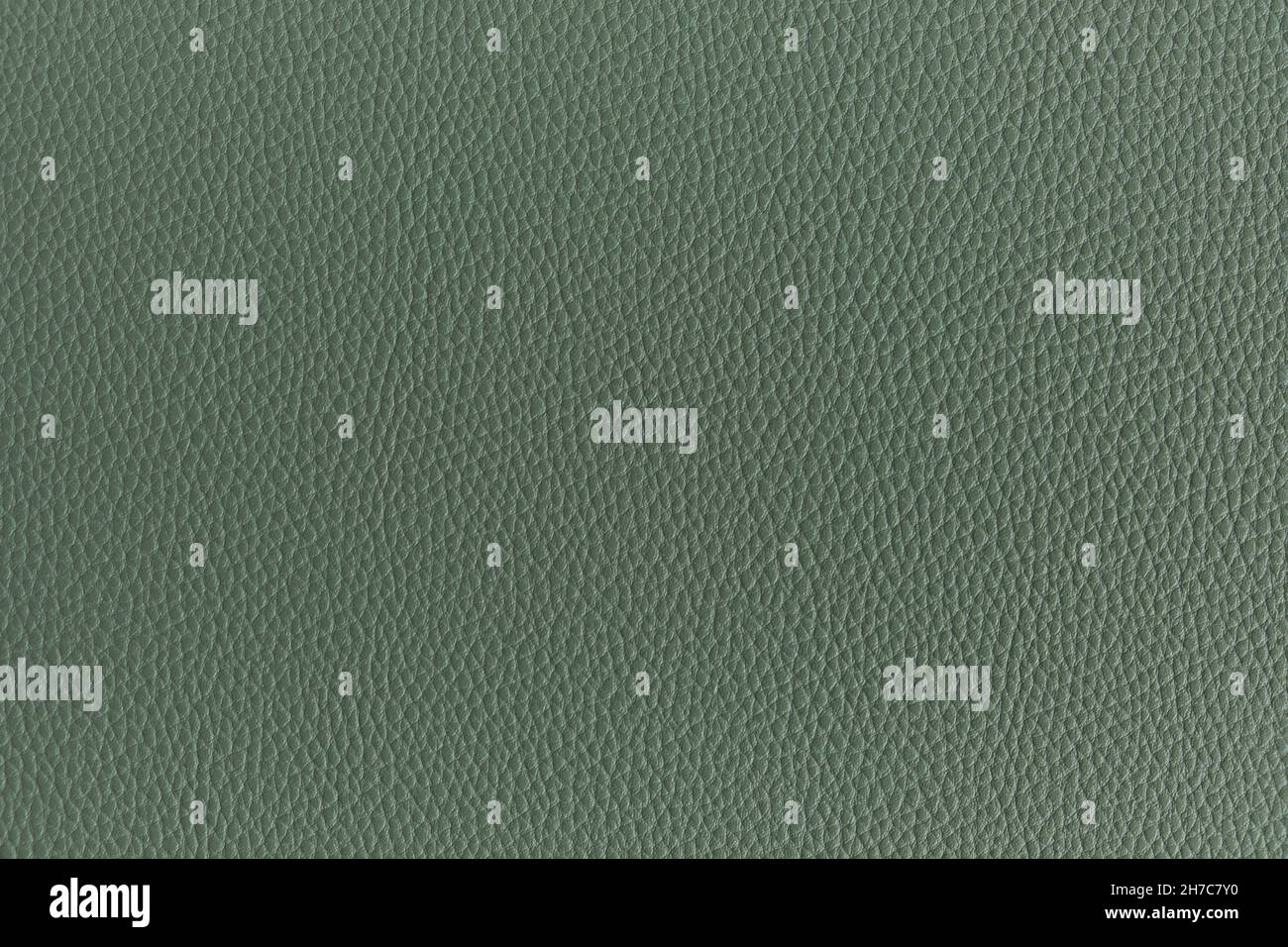 Green background with skin texture Stock Photo