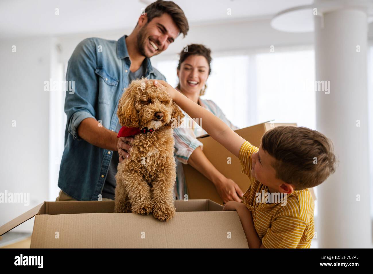 Husband and wife and their son with pet moving in new home. Stock Photo