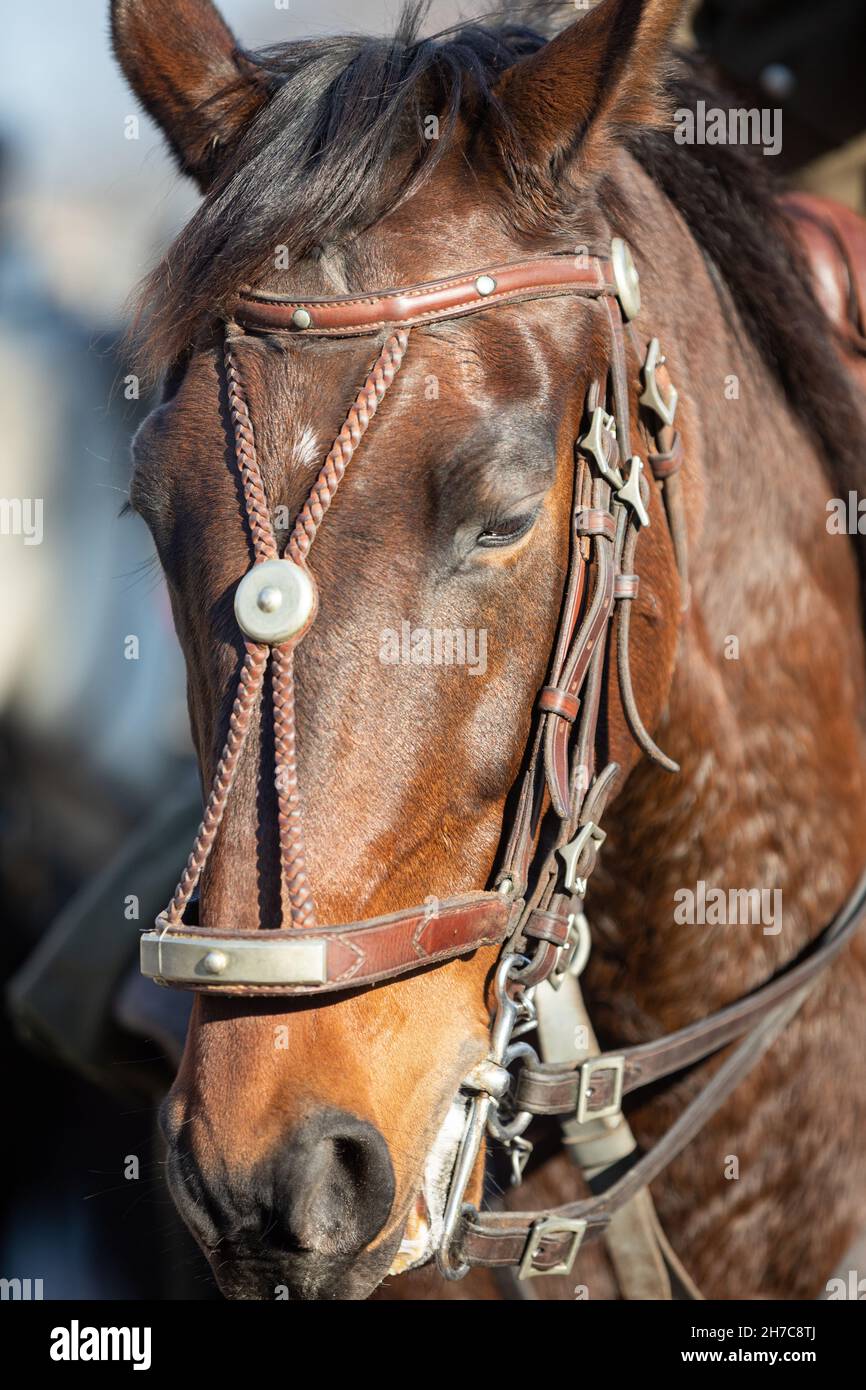 Lively Coloring High Resolution Stock Photography and Images - Alamy