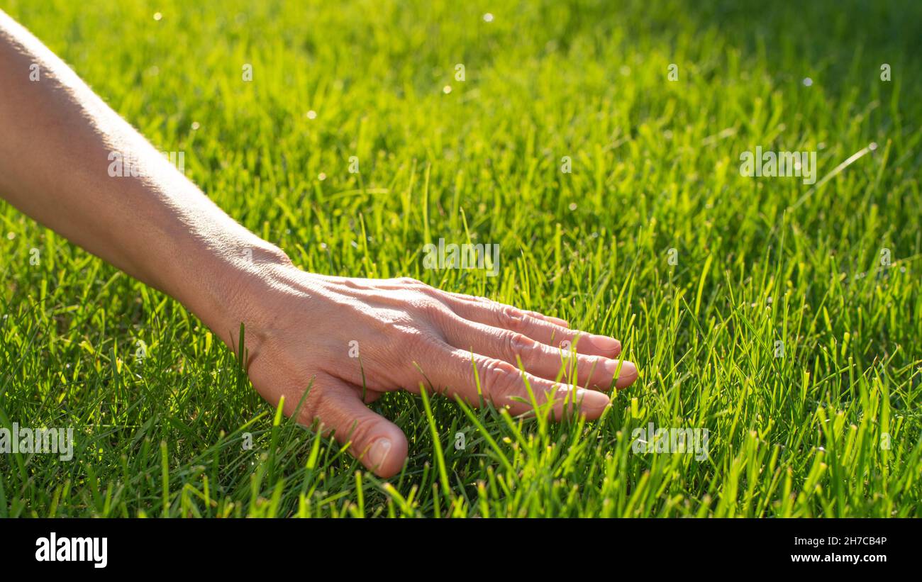 Hand touching grass hi-res stock photography and images - Alamy