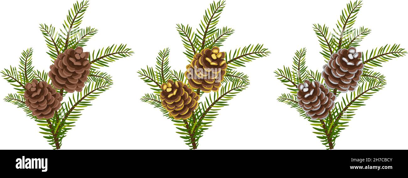 Set of green Christmas fir branches with silver and gold cones with ...