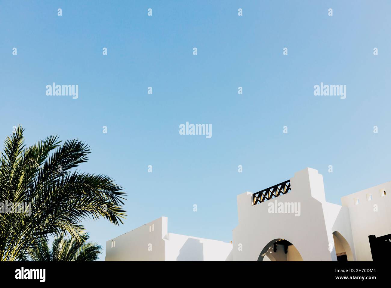 Bottom view of palm trees and resort hotel buildings. Hotel business Stock Photo