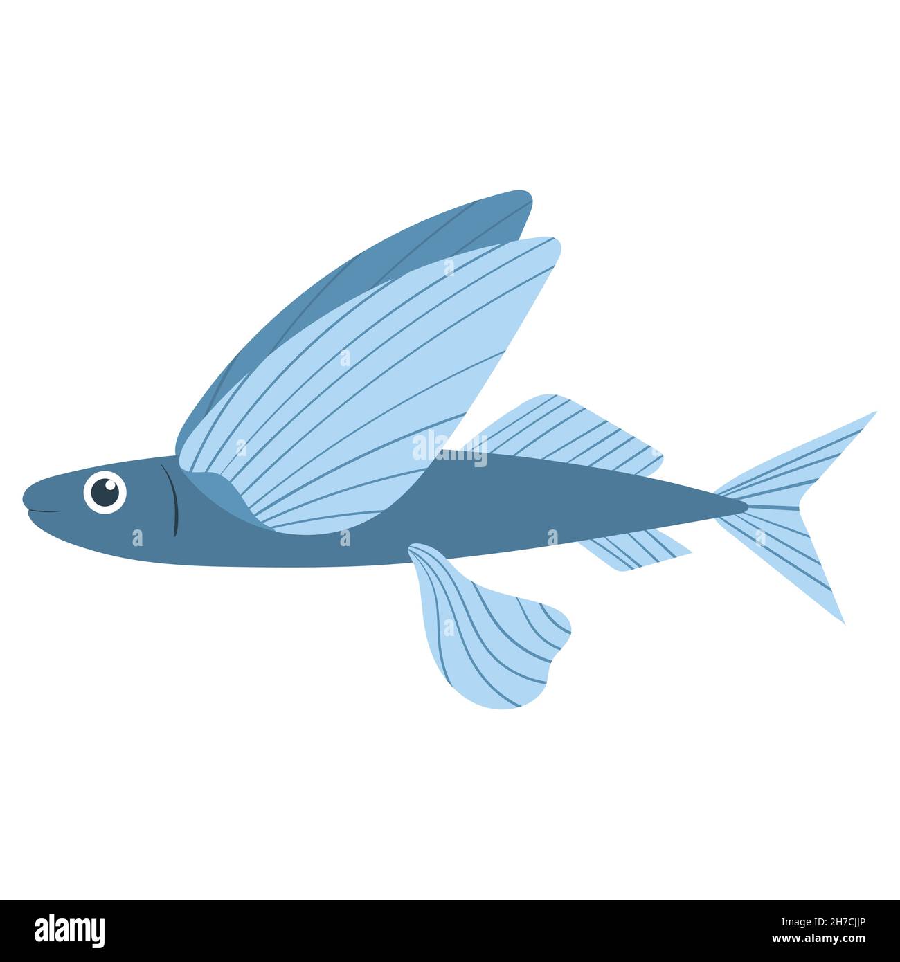 Beautiful cartoon illustration with colorful sea animals flying fish on white background for print design. Kid graphic. Sea underwater life. Vector isolated hand drawing Stock Vector Image & Art - Alamy Beautiful cartoon illustration with colorful sea animals flying fish on white background for print design. Kid graphic. Sea underwater life. Vector isolated hand drawing Stock Vector Image & Art - Alamy