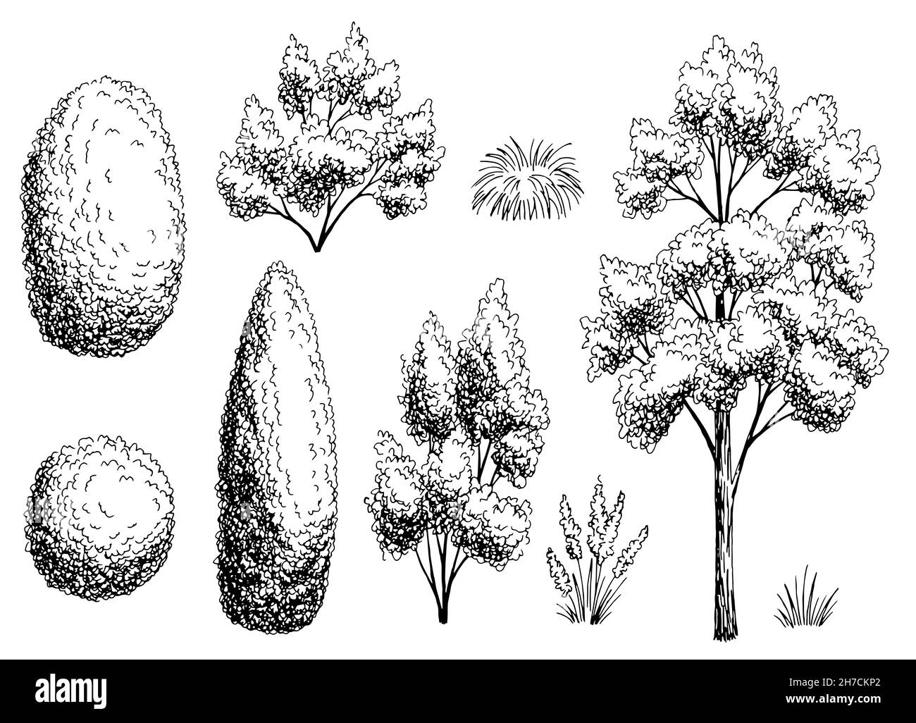 Plant set graphic garden bush black white side view isolated illustration vector Stock Vector