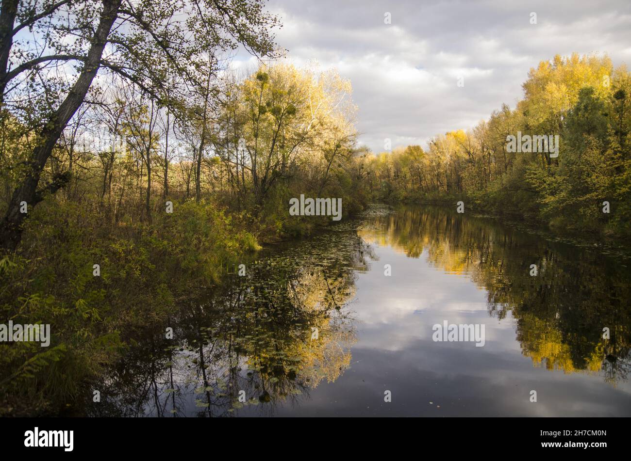 Reflection of autumn forest in a lake, fall landscape, romantic ...