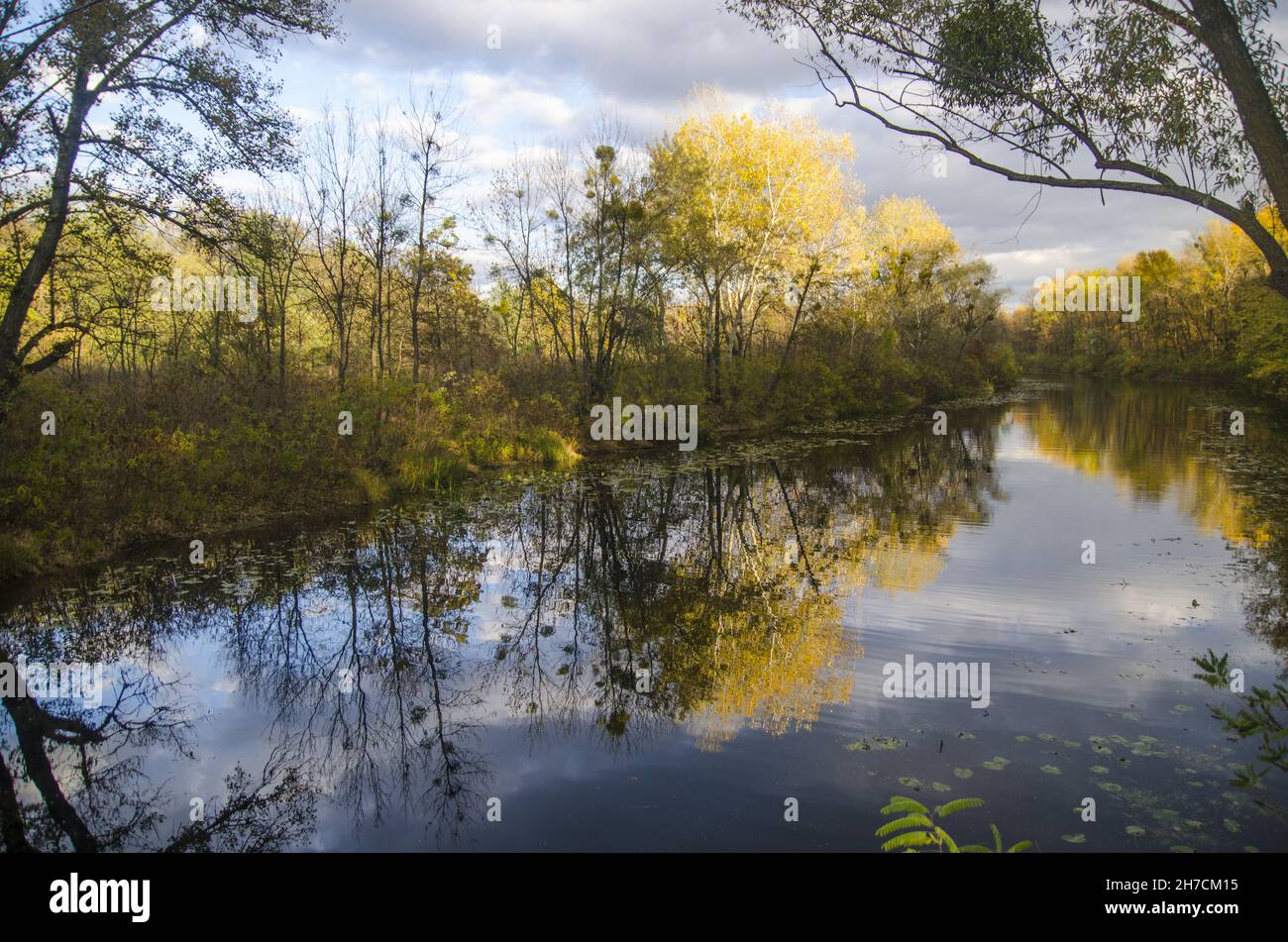 Reflection of autumn forest in a lake, fall landscape, romantic ...