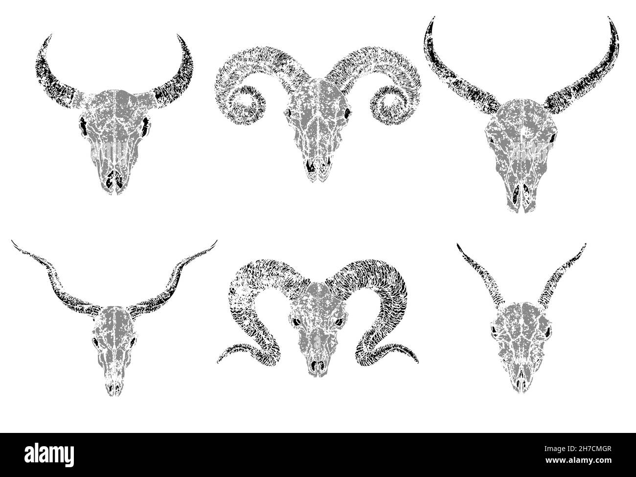 Vector set of silhouettes skulls of horned animals wild buffalo, bull, goats and ram on white background. Grunge style. Monochrome image. Stock Vector