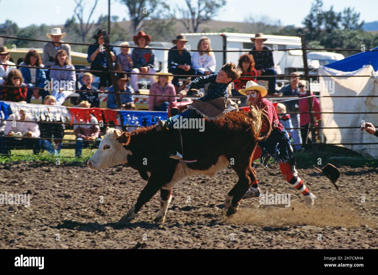 Australia. Queensland. Rodeo. Steer-riding contest for young stockmen. Stock Photo