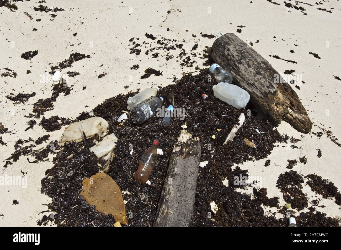Flotsam with trash on beach, Netherlands Antilles, Bonaire Stock Photo