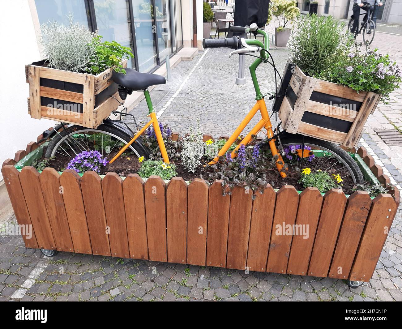 decorated bicycle in planter on the street , Germany Stock Photo
