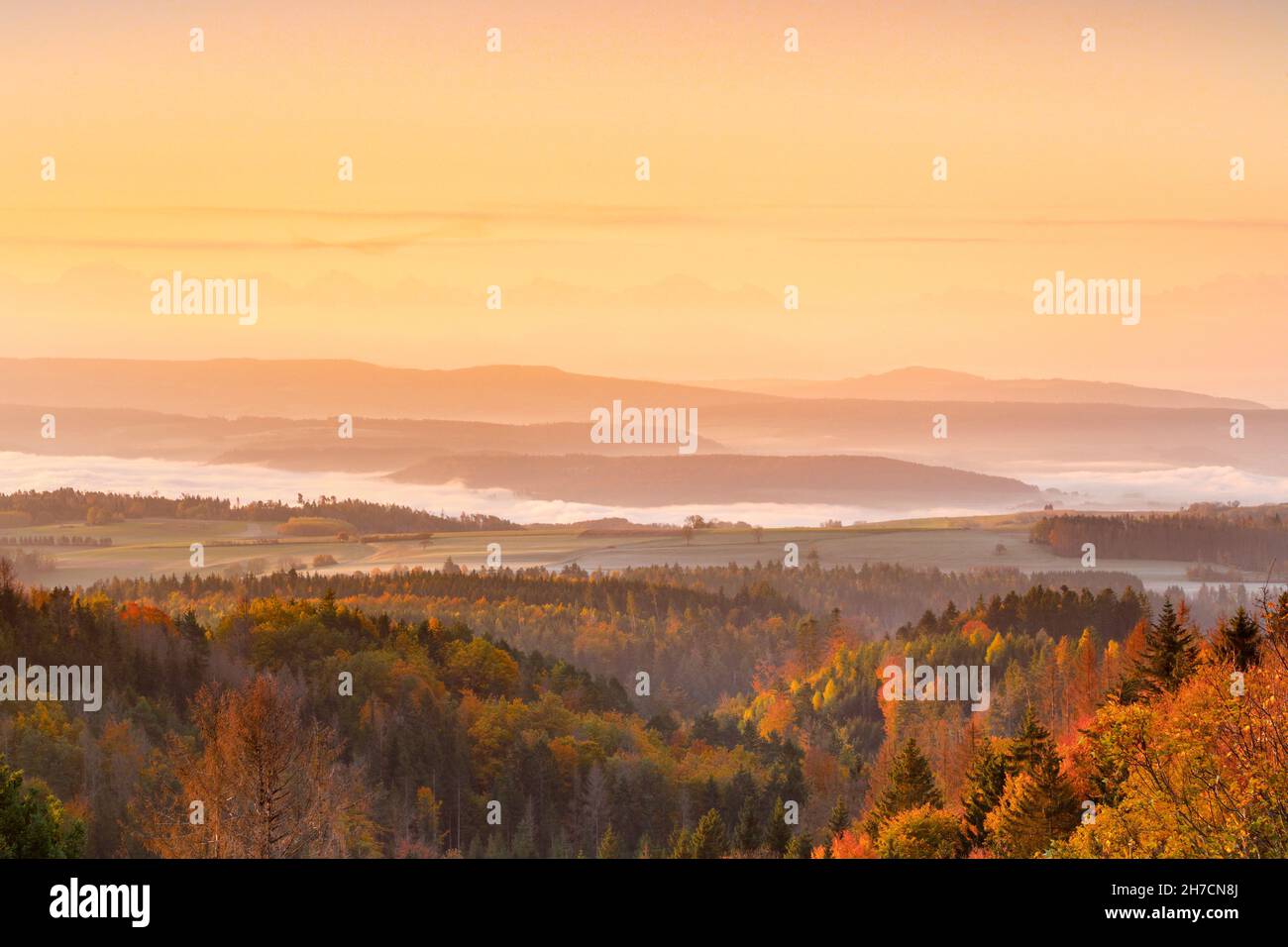 Sunrise with mist in autumn over hilly landscape, Swiss Alps in the background, view from Hoechenschwand in the Black Forest, Germany Stock Photo