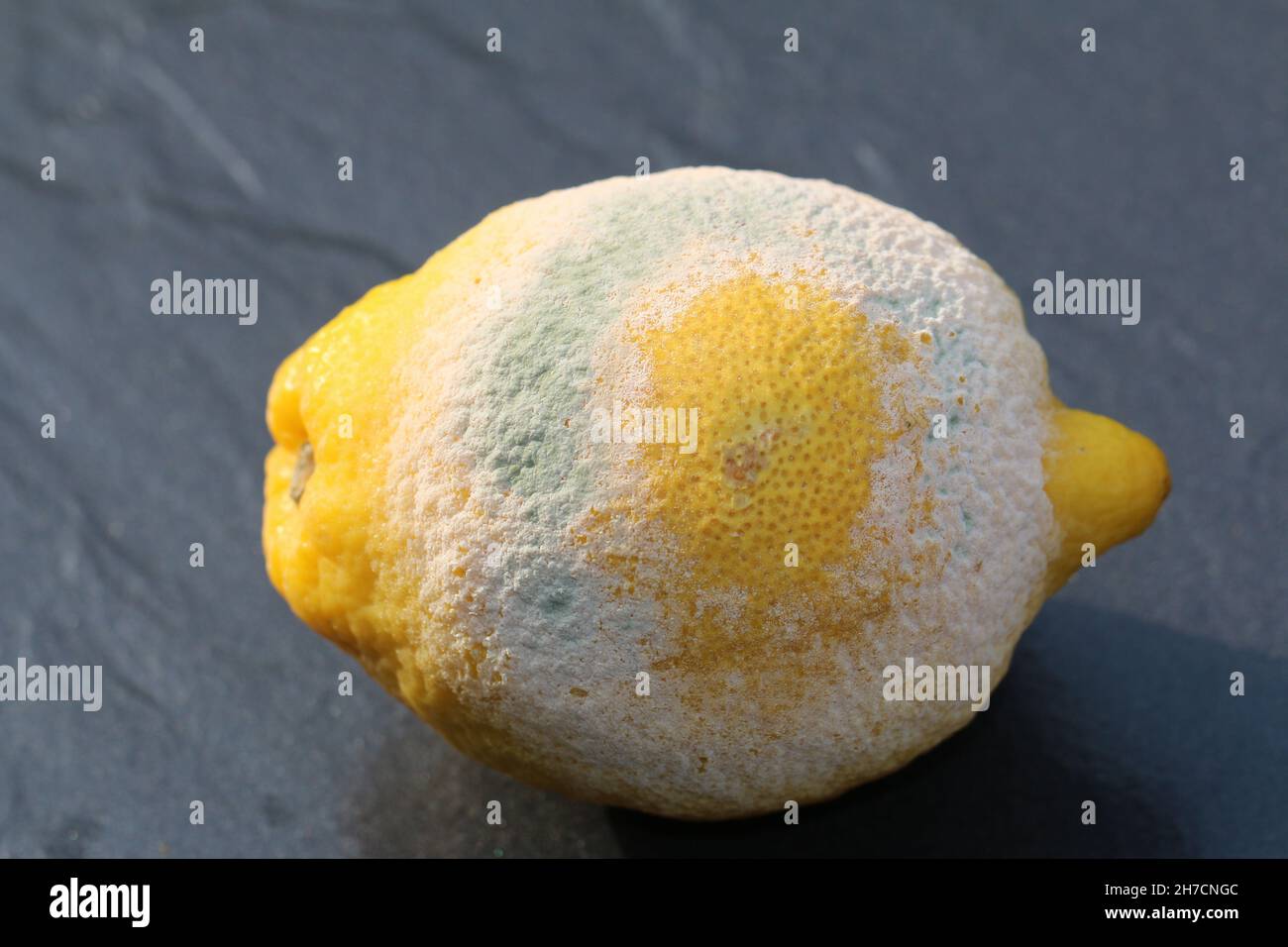 Lemons mould hires stock photography and images Alamy
