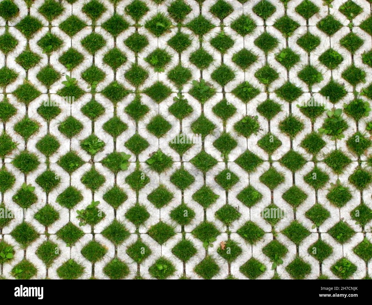 Grass Pavers High Resolution Stock Photography And Images Alamy