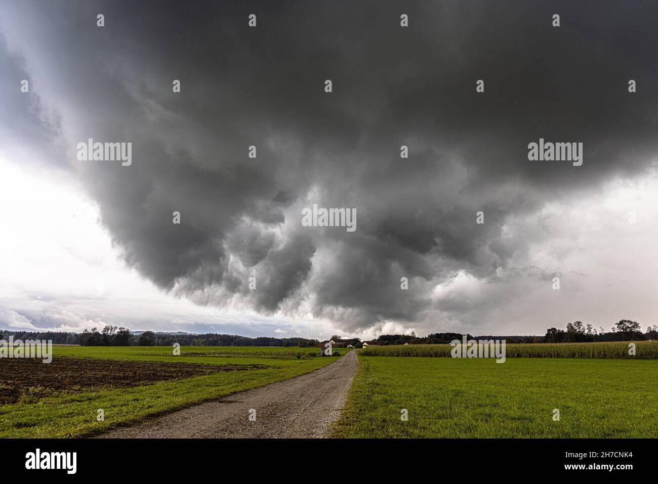 approaching thunderstorm racking near the ground, Germany, Bavaria, Voralpenland, Hoeselwang Stock Photo