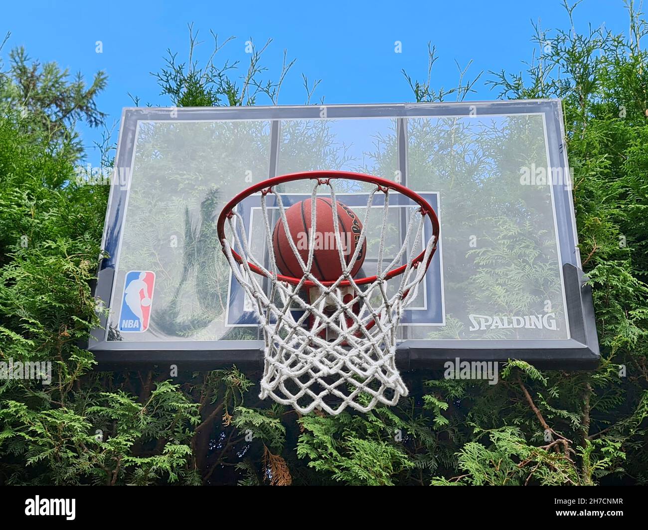 Basketball is thrown into the basket Stock Photo