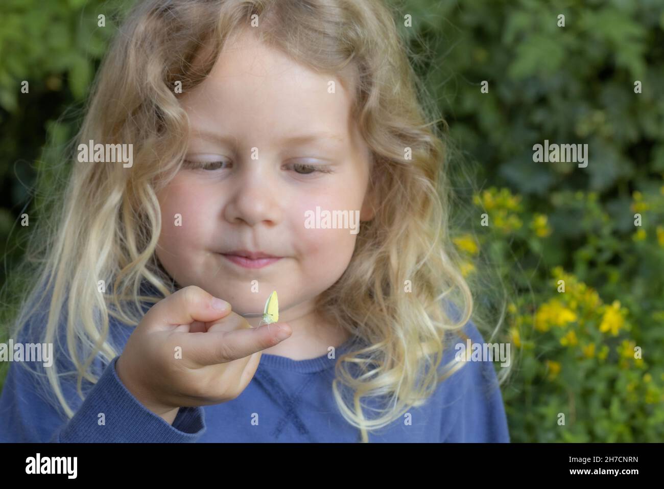 Small white, Cabbage butterfly, Imported cabbageworm (Pieris rapae, Artogeia rapae), little blond curly girl looking at a little cabbage white on her Stock Photo