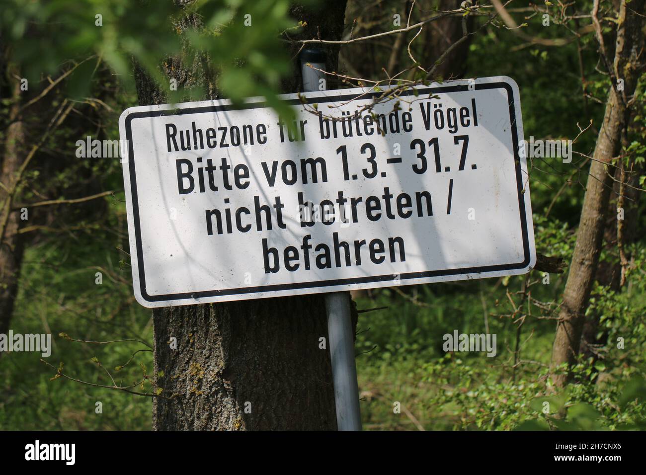 sign: No admittance to a bird breeding area, Germany Stock Photo