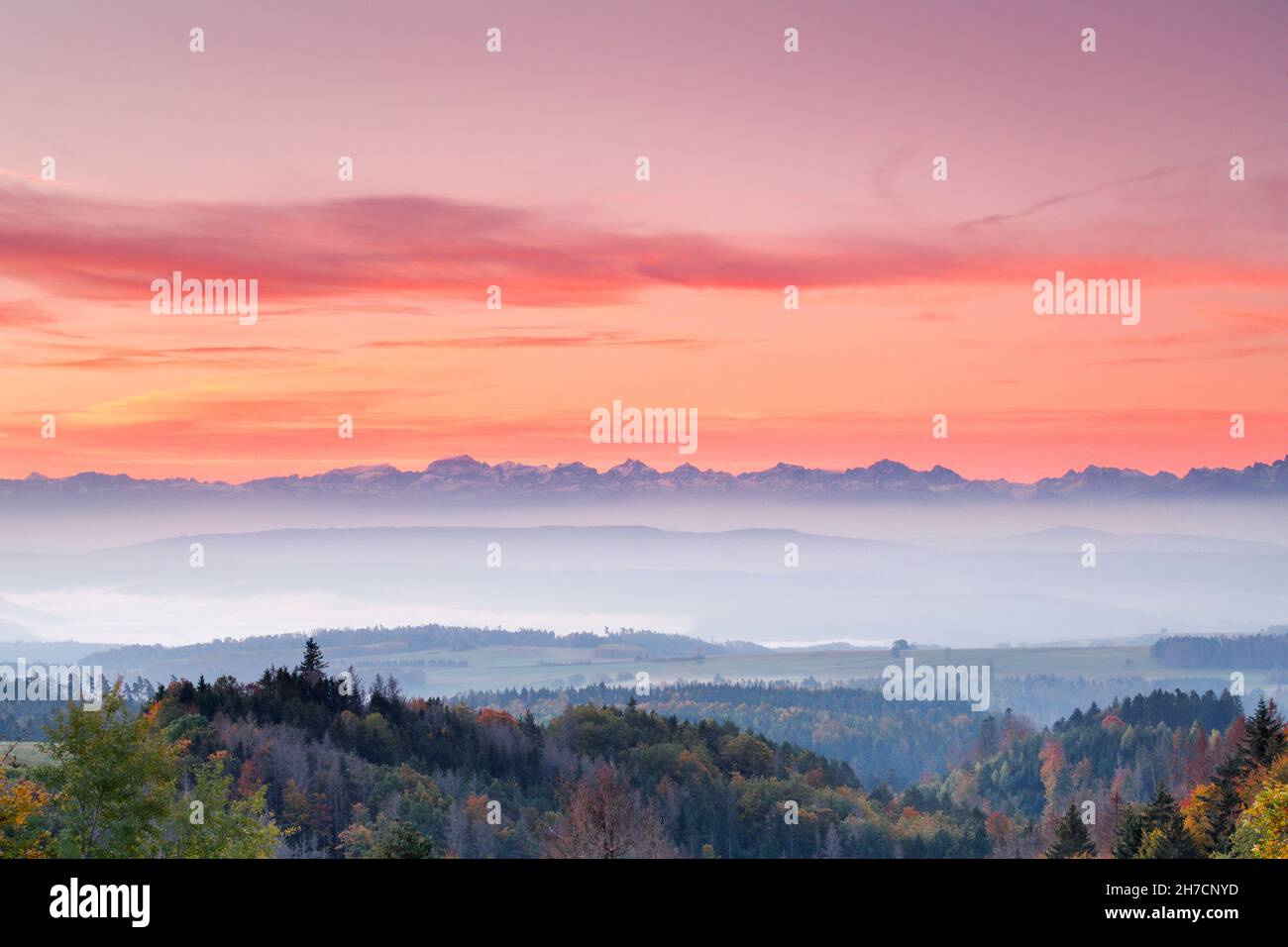 Sunrise with mist in autumn over hilly landscape, Swiss Alps in the background, view from Hoechenschwand in the Black Forest, Germany Stock Photo