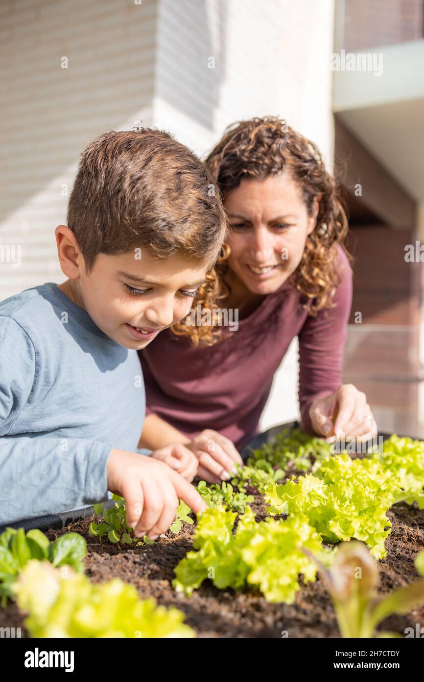 Mother and son working on a urban garden at home Stock Photo Alamy