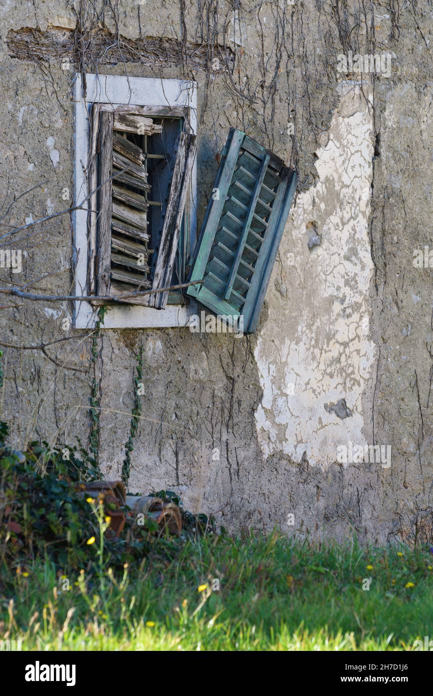 Stone window with broken blinds in a wall with ivy climbing a decaying facade of an old building. Architecture, age. Stock Photo