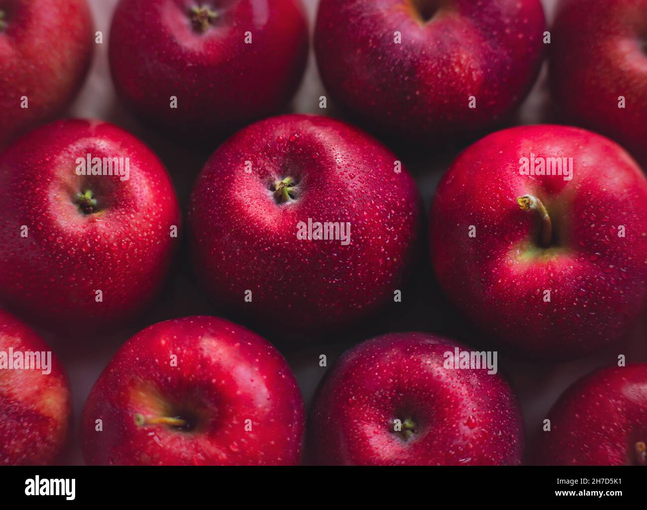 Top view of large wet ripe scarlet apples. A rich harvest of delicious ...