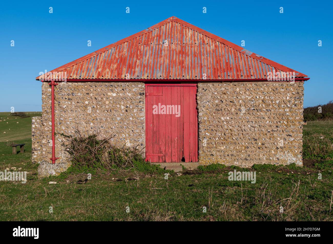 An old delapidated barn with a door in a flint wall and a corrugated roof Stock Photo