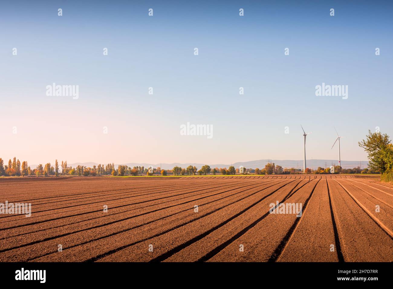 Agricultural land field surrounded with Autumn trees Stock Photo - Alamy