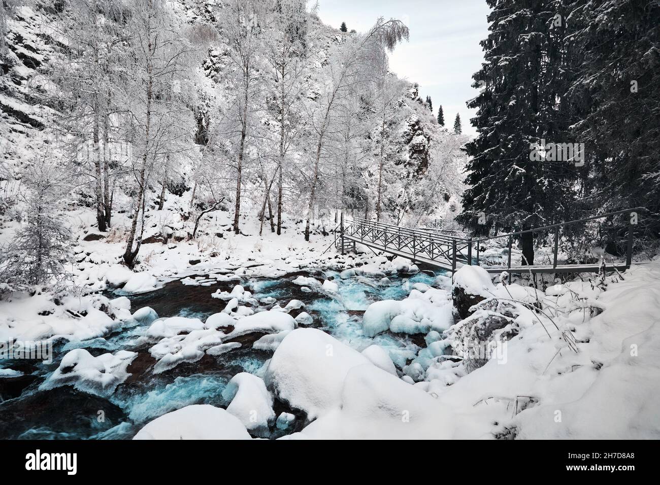 Beautiful landscape of blue water river and Spruce tree forest in the mountains with snow at winter time Stock Photo