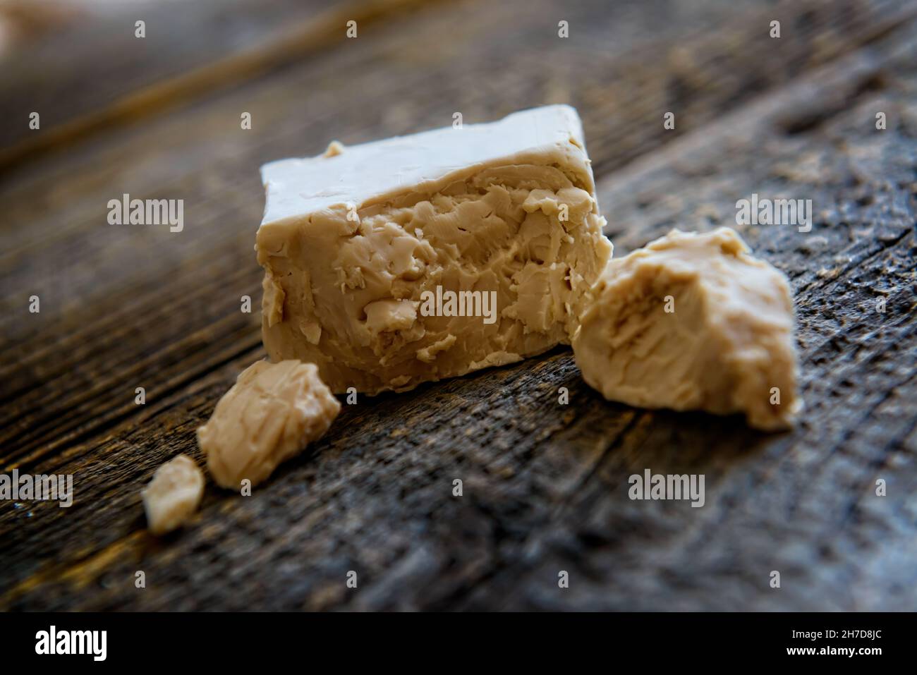 Fresh pressed active yeast, such yeast is used for baking bread and cakes as well as for beer production Saccharomyces cerevisiae Stock Photo