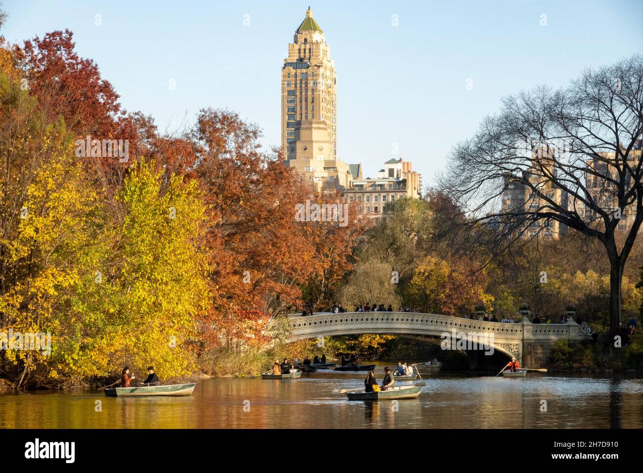 Central Park in New York City showcases beautiful fall foliage , USA